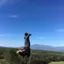 てぃけし
