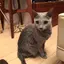 かん