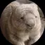 ウォンバッツ(犬好き)