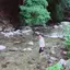 まぎう