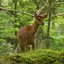 地球とあそぼう