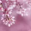 日向ぼっこ