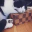 さいとぅー