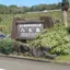 新井 辰徳
