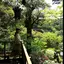ゆきまる