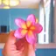 okinawarisa23