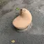 はな