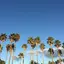 li_traveler