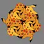 hitopon