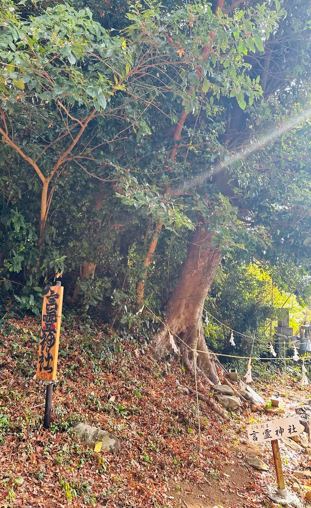 鎮西伊勢分宮 姫神社