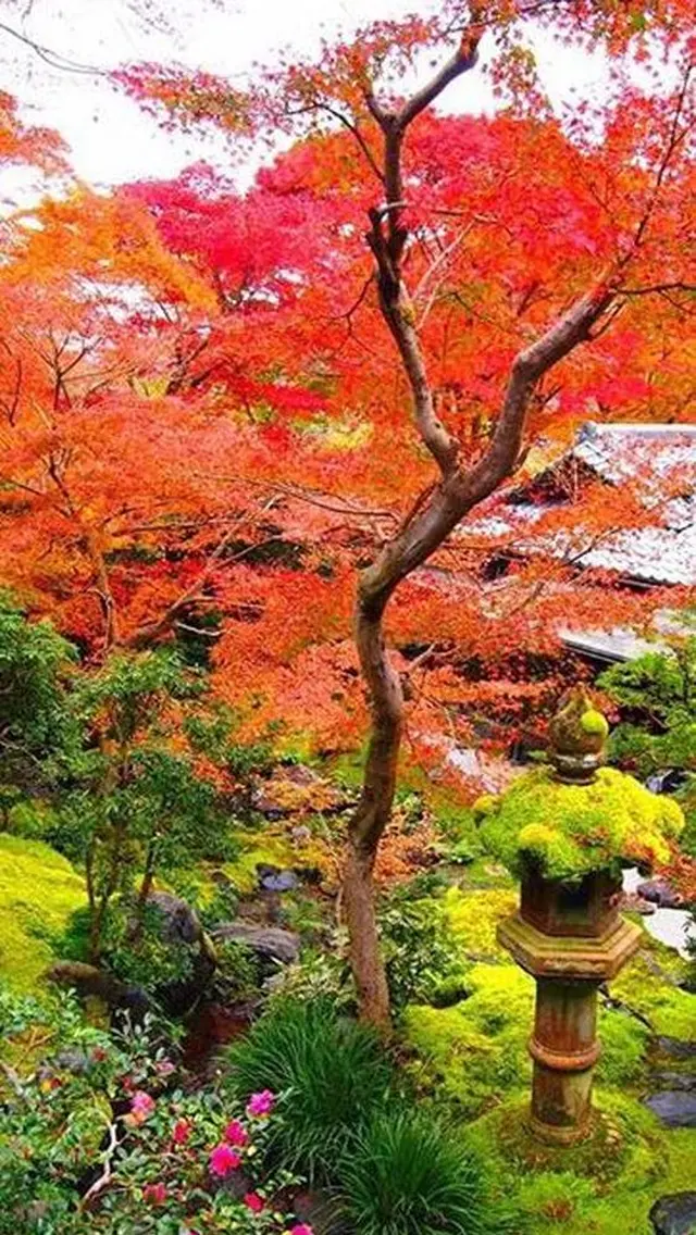 瑠璃光院
