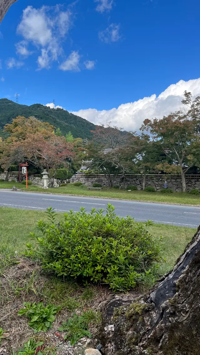 日吉大社
