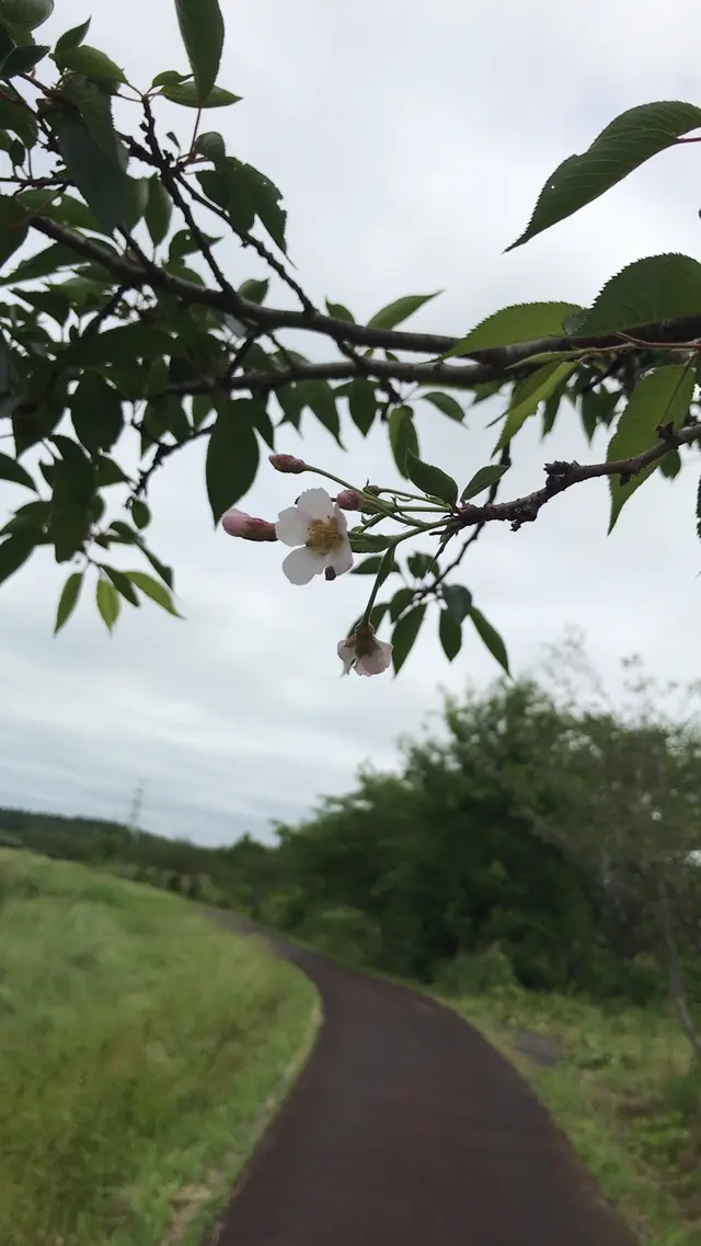 支川都川