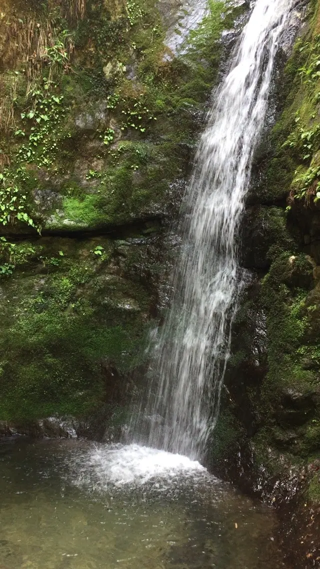 御岳山