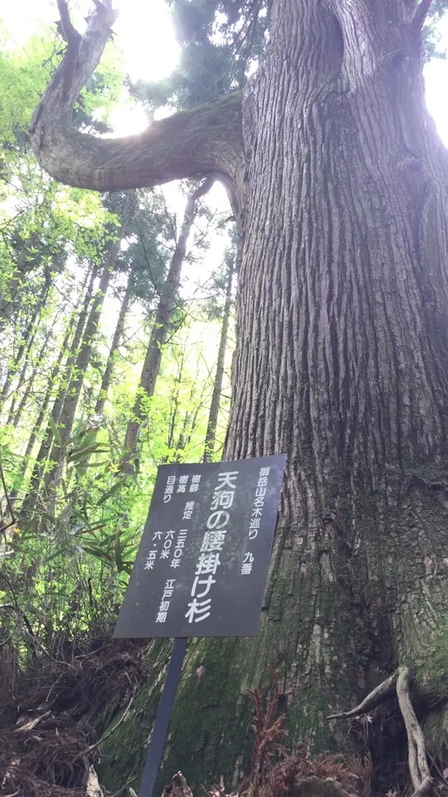 御岳山