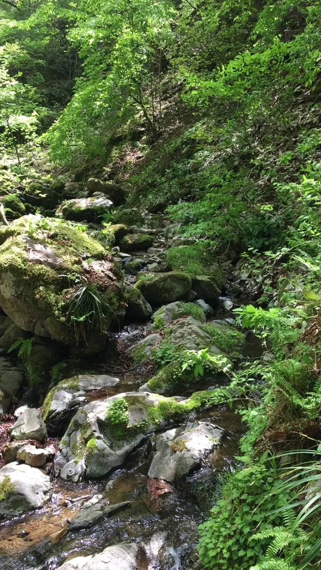 御岳岩石園ロックガーデン