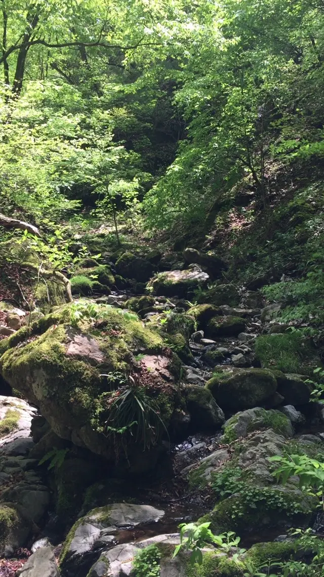 御岳岩石園ロックガーデン