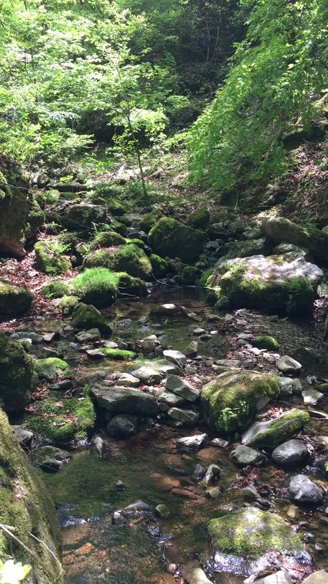 御岳岩石園ロックガーデン