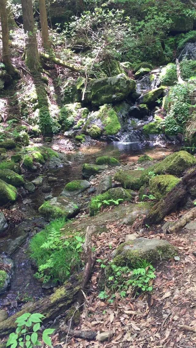 御岳岩石園ロックガーデン