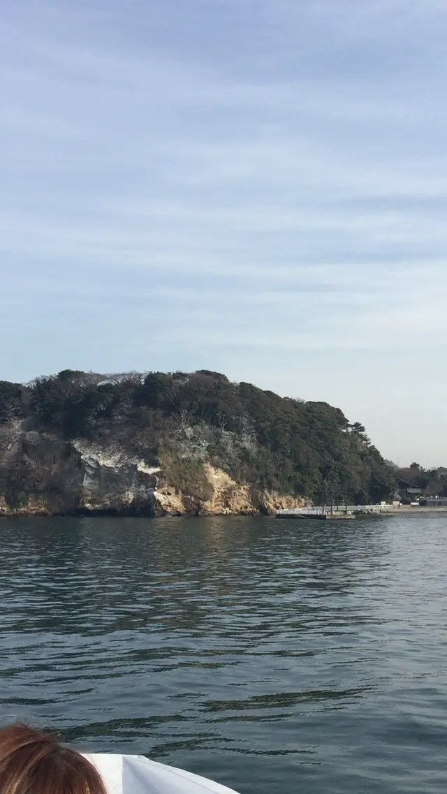 猿島