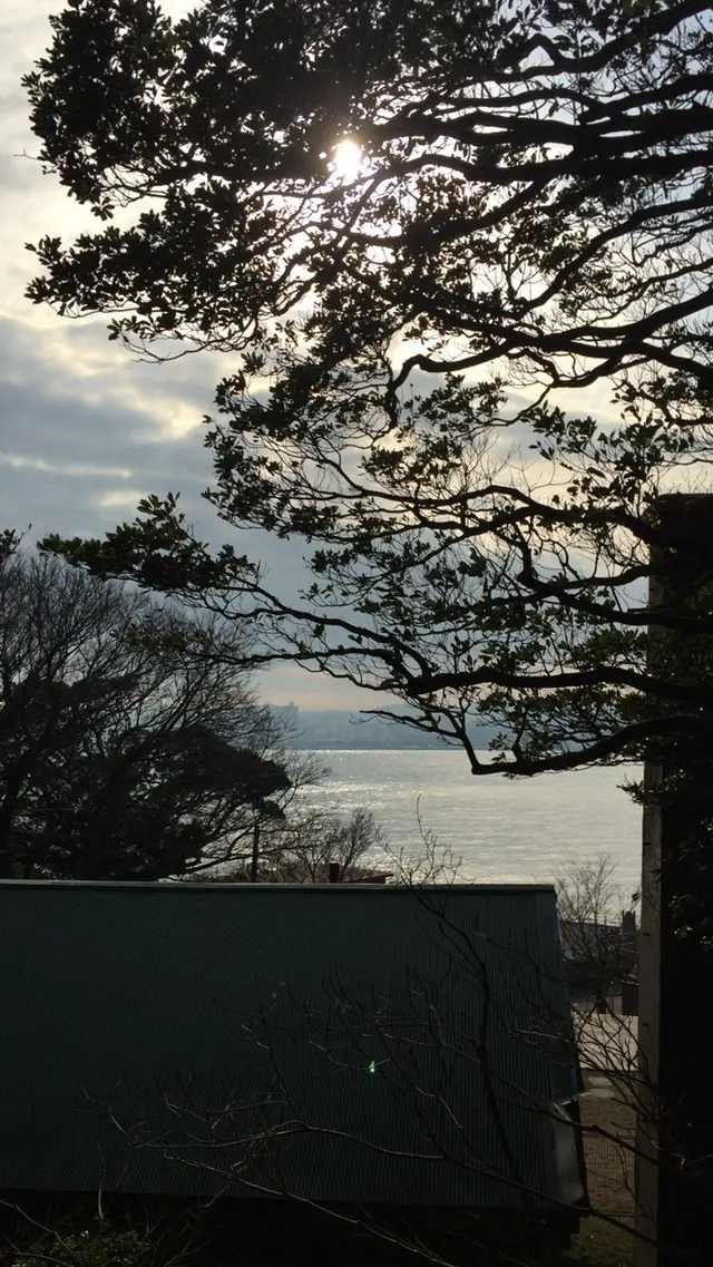 猿島