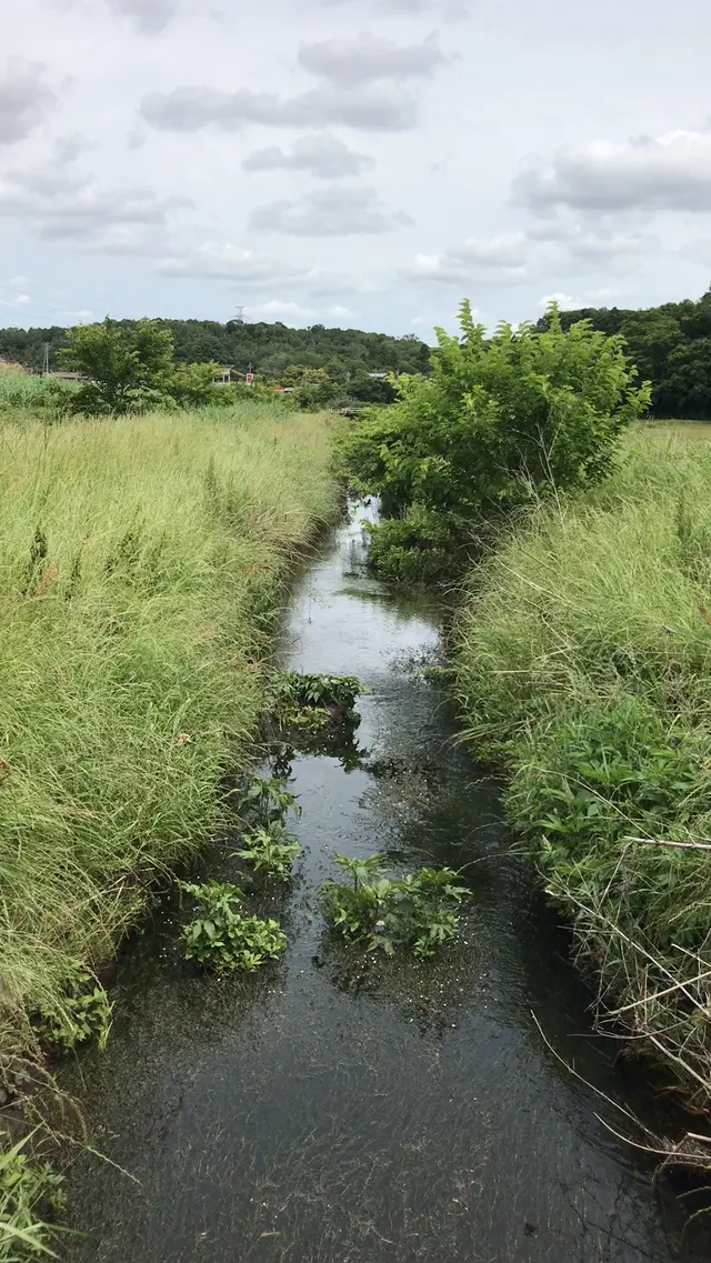 支川都川