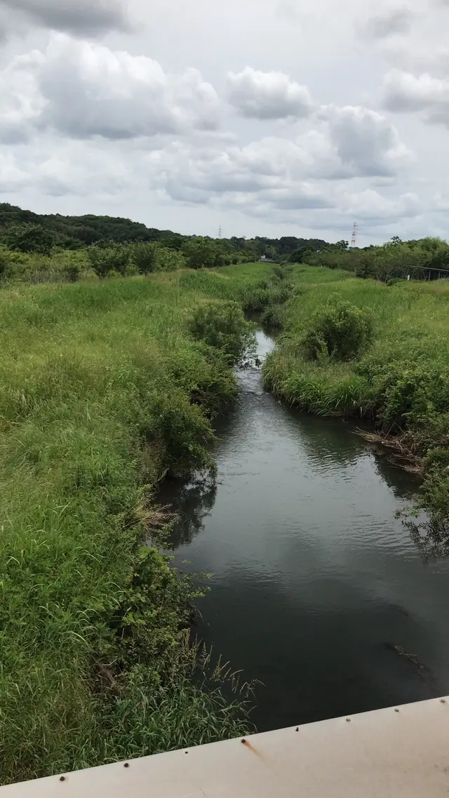 支川都川