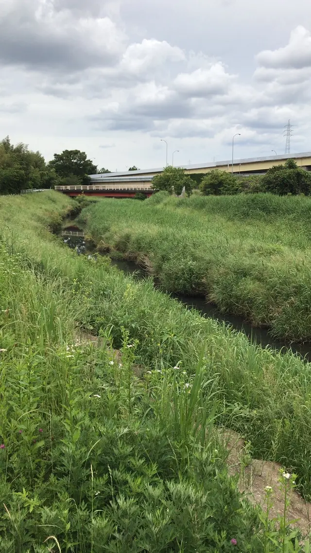 支川都川