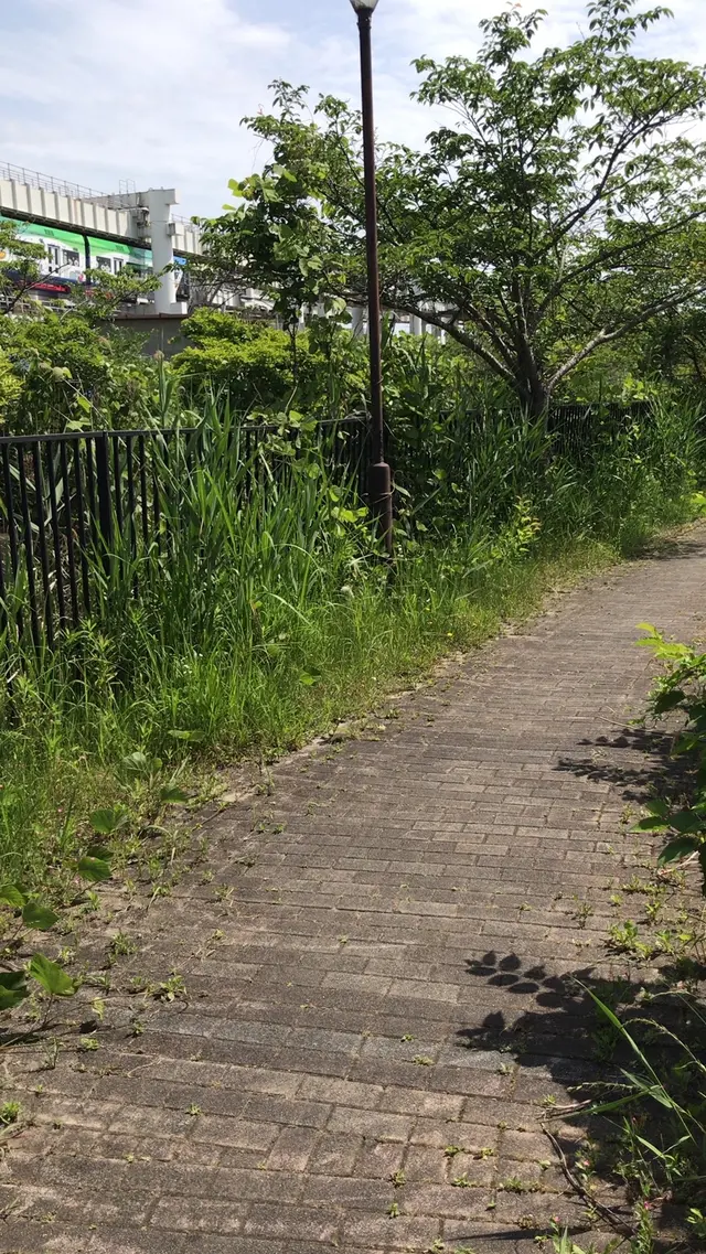 ろっぽう水のみち