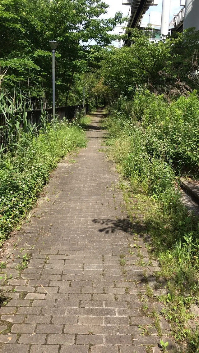 ろっぽう水のみち