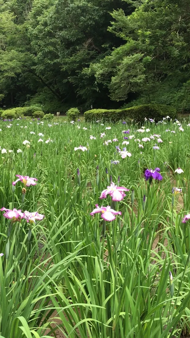 泉自然公園