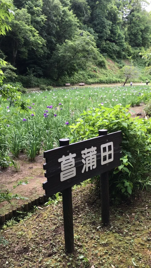 泉自然公園