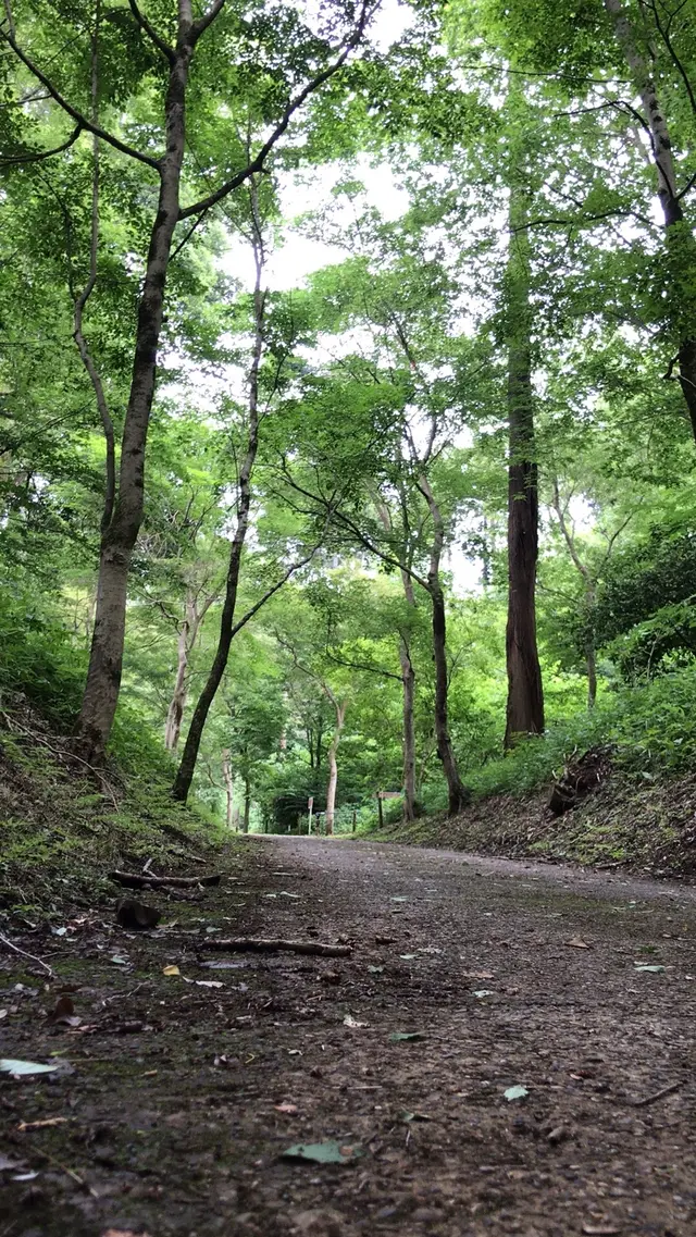 泉自然公園