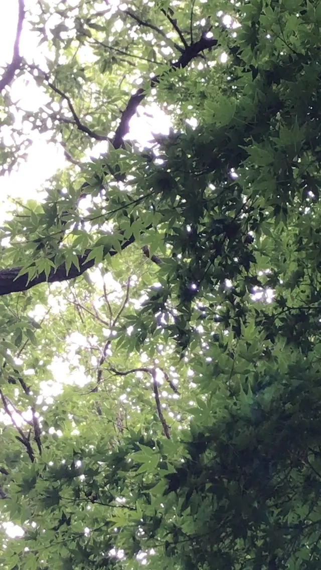 泉自然公園