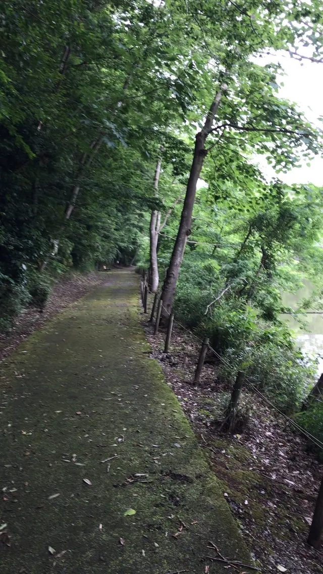 泉自然公園