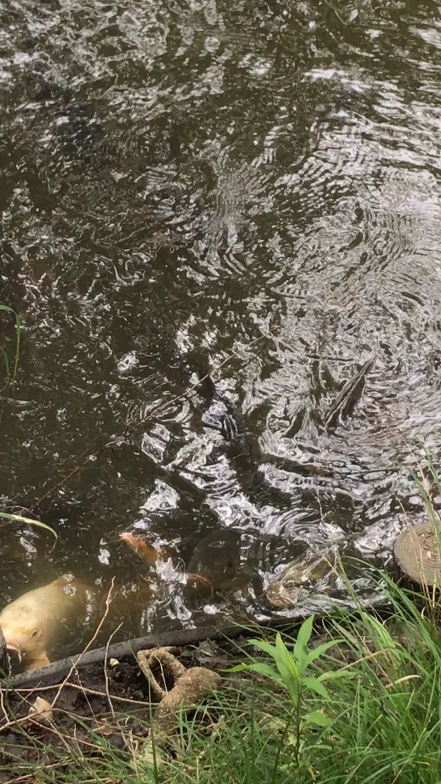 泉自然公園