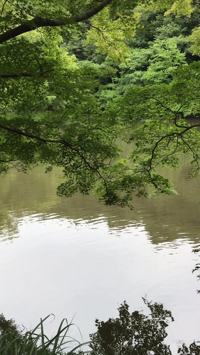 泉自然公園