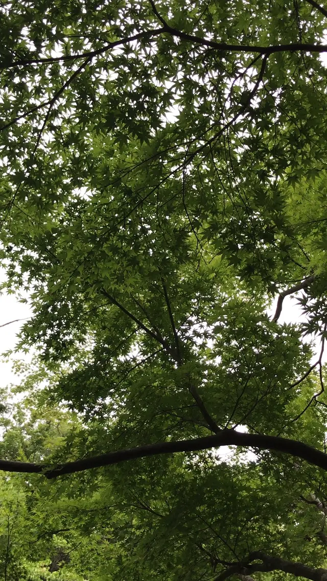 泉自然公園