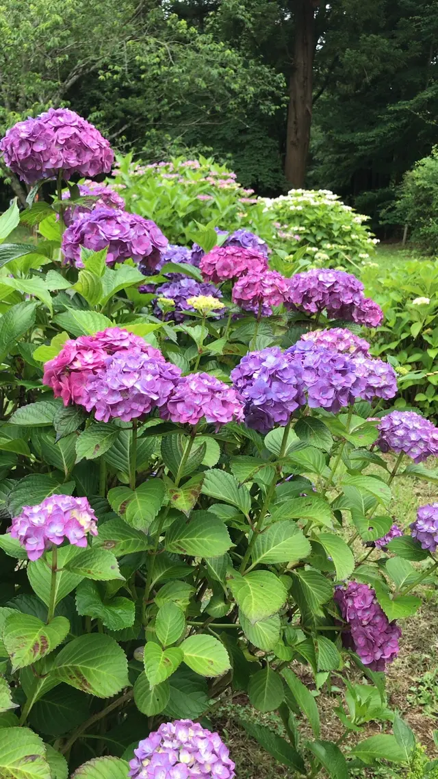 泉自然公園