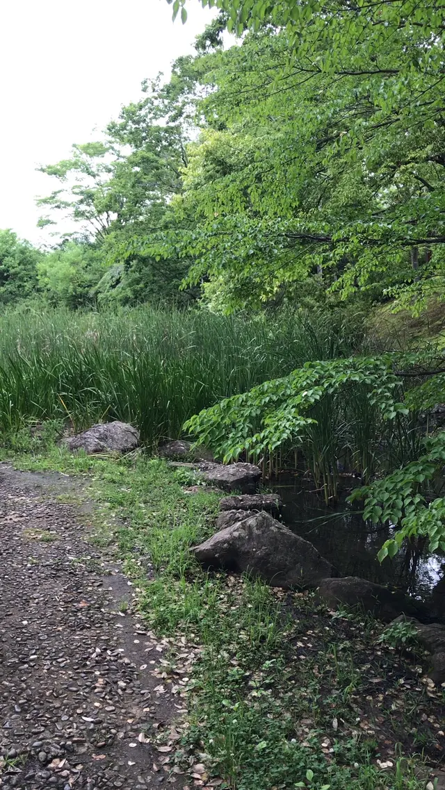 泉谷公園