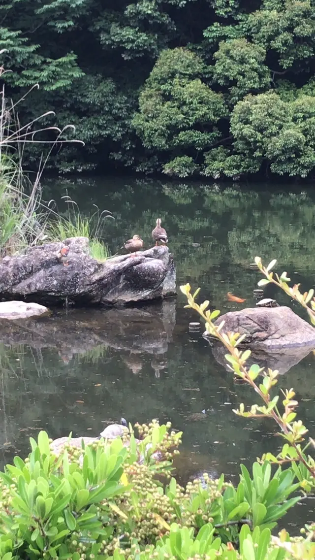 泉谷公園