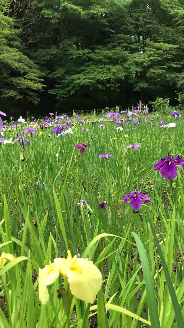 泉谷公園