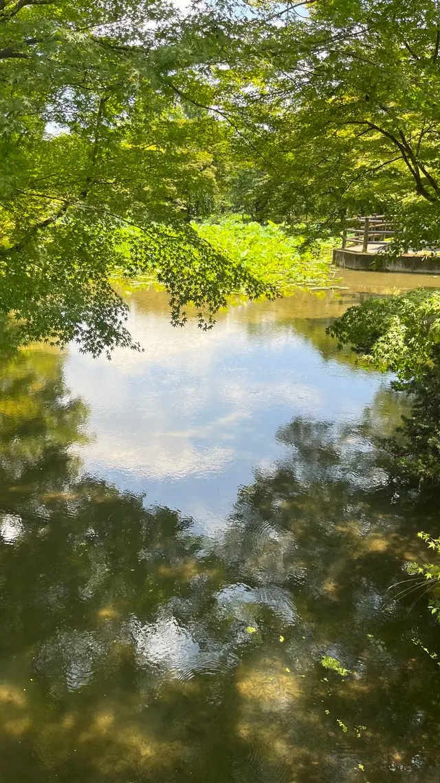 半木神社