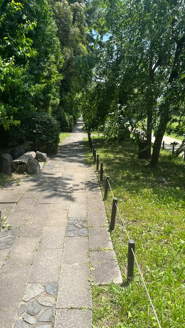 半木の道