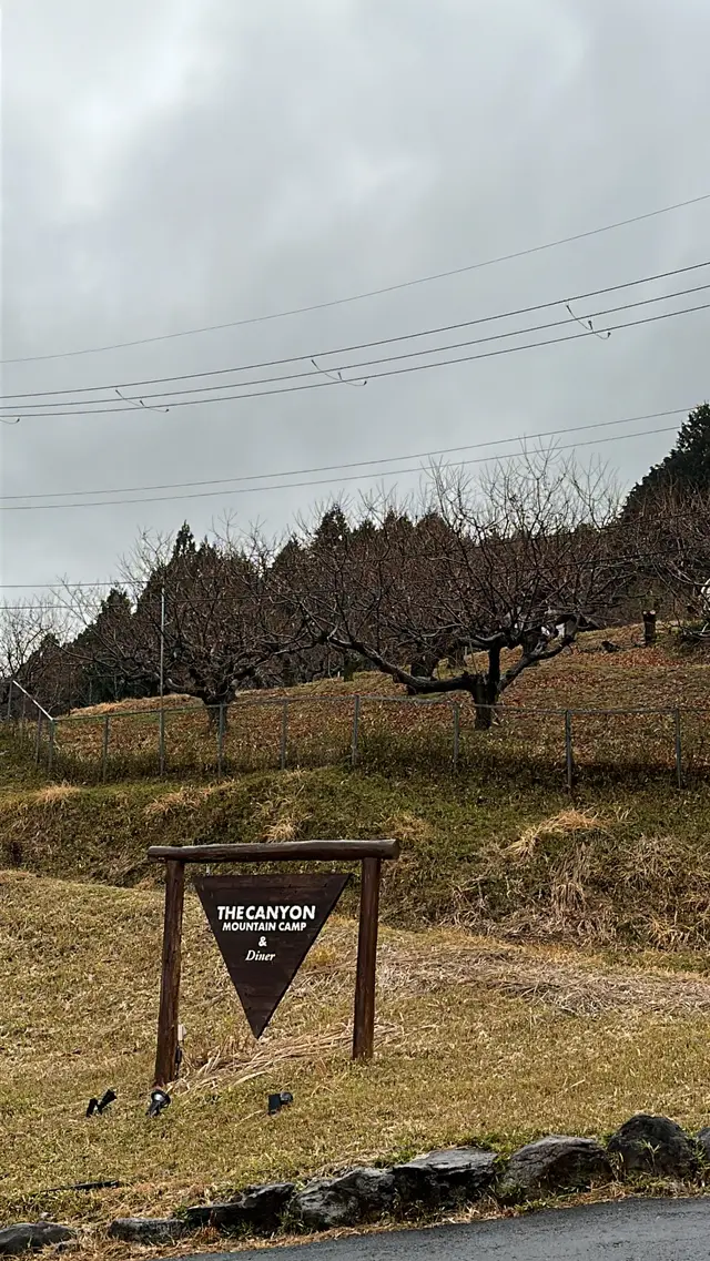 THE CANYON MOUNTAIN CAMP