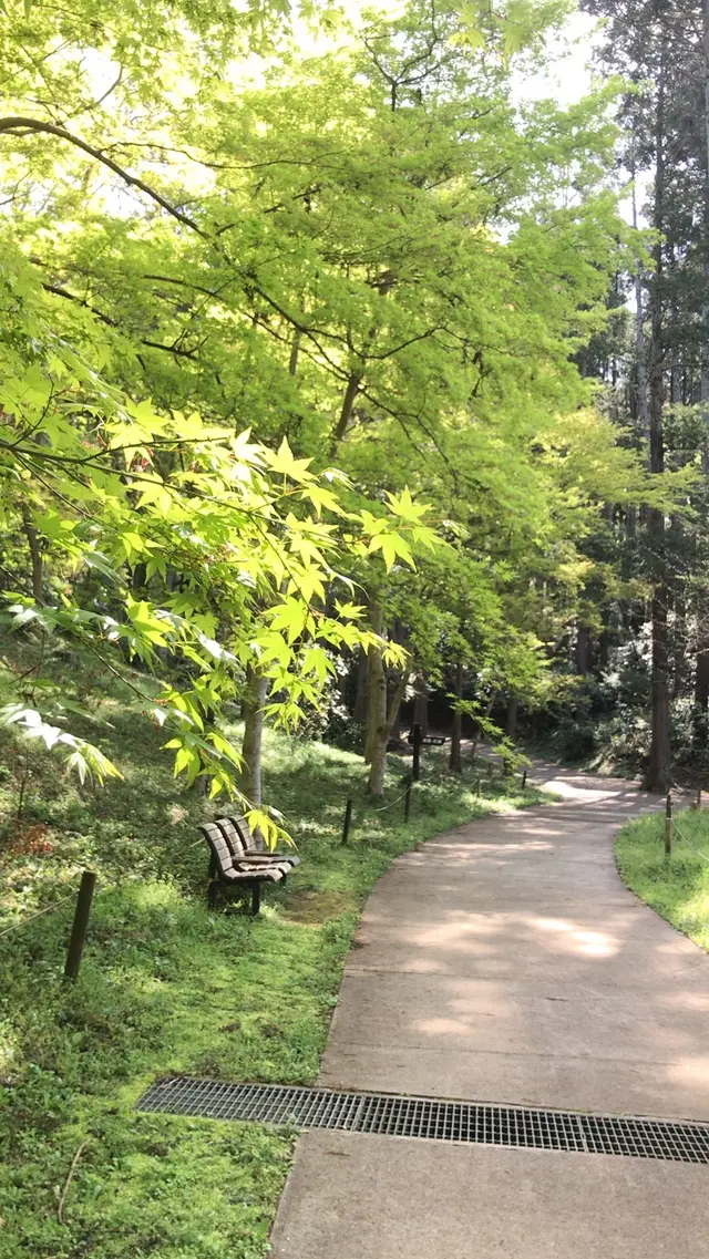 泉自然公園