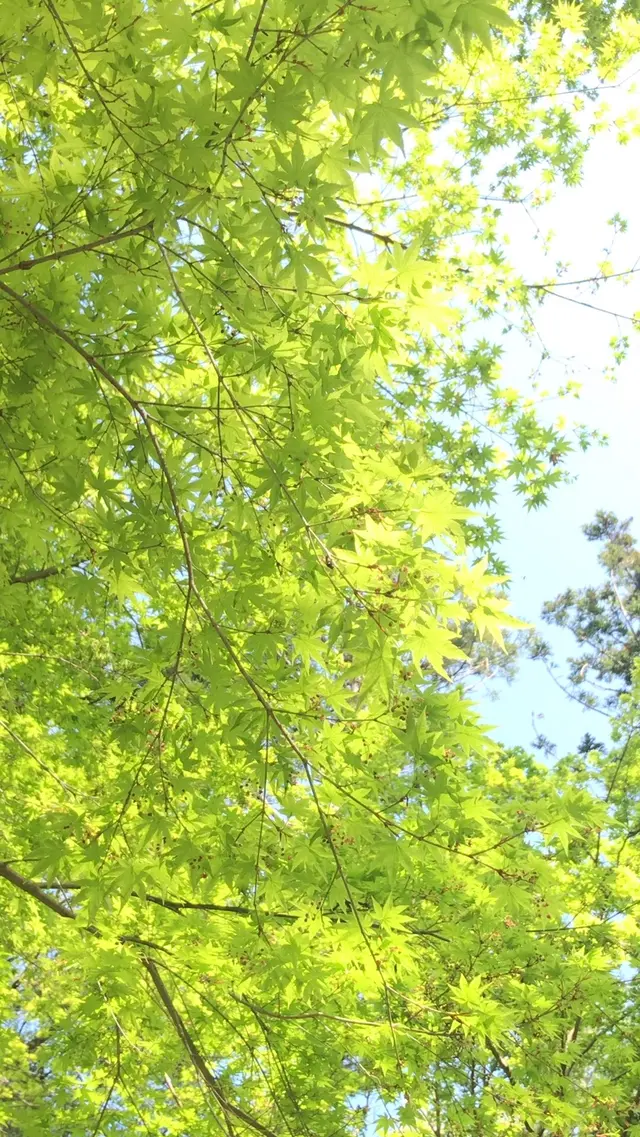 泉自然公園