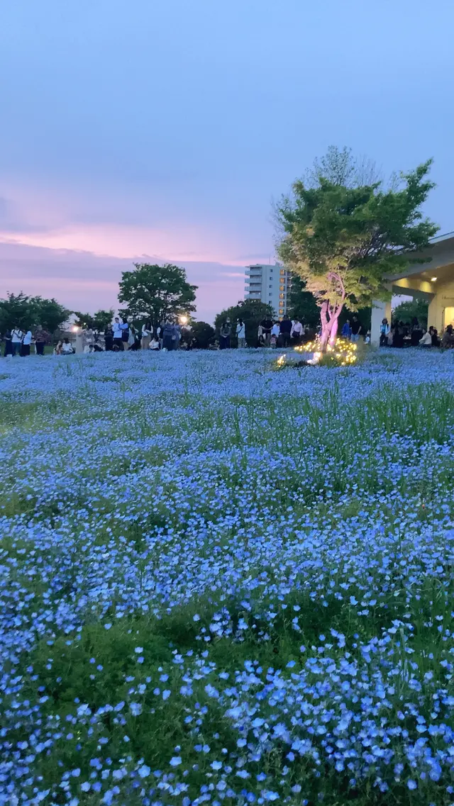 舎人公園