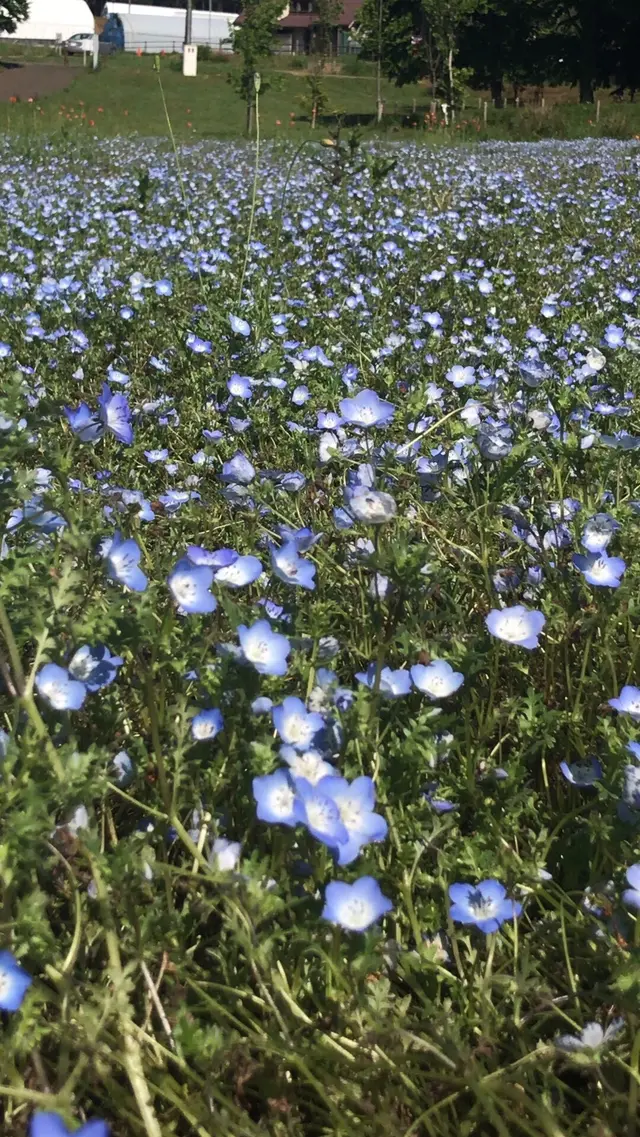 富田さとにわ耕園
