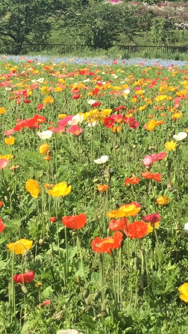 富田さとにわ耕園